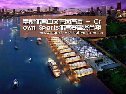 案例展示八