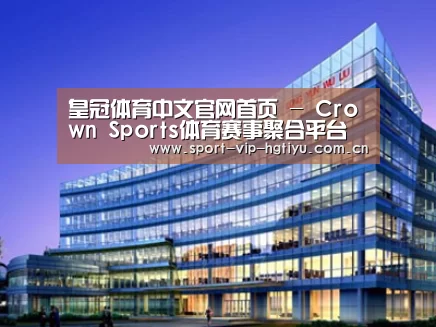 案例展示五